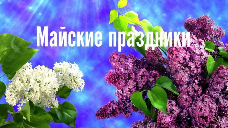 1 и 3 мая. Работаем в обычном режиме. с 9-00 до 18-00.